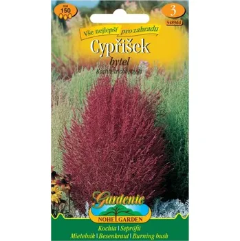 Semeno Nohel Garden 5489dd Bytel metlovitý - cypřišek červený