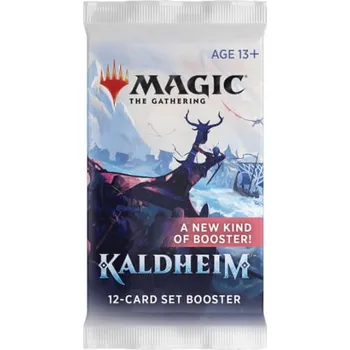 Desková hra Wizards of the Coast Magic The Gathering: Kaldheim Set Booster