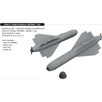 Plastikový model Eduard 1/48 AGM-62 Walleye I ER/ERDL