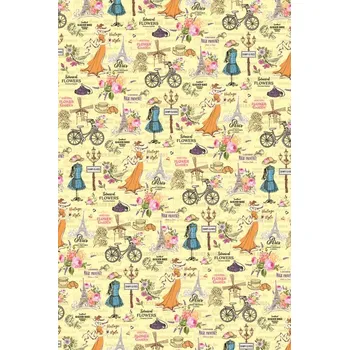 Balící papír BP1 569 - Balící papír 70x100 dárkový