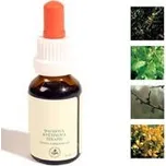 Bachovy kapky - Únava, uzdravovaní 25 ml