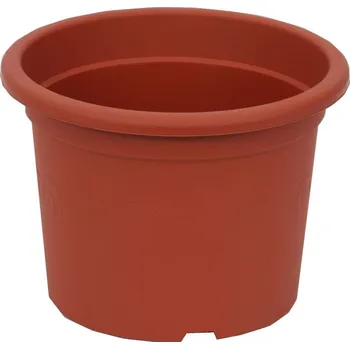 Plastia Narcis 17 cm, terakota