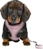 Postroj pro psa Trixie Junior Puppy Soft souprava světle fialová 26-34 cm/10 mm