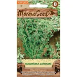 MoravoSeed Majoránka zahradní 1300 ks