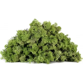 Dekorační stabilizovaný mech sobí 4 kg, olivově zelený