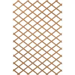 Nature 409346 dřevěná treláž 100 x 200…