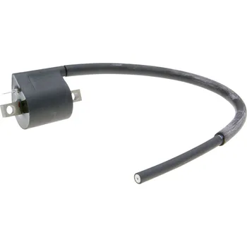 Autoelektrika Cívka zapalování Polini digital, Piaggio LC, Minarelli AC, LC, AM6, Derbi D50B0, EBE, EBS, Vespa 125 ET3 171.0640