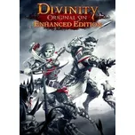 Divinity: Original Sin (Enhanced Edition) PC