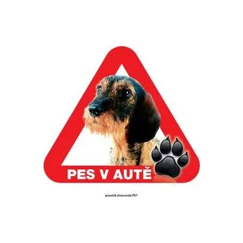 Značení Nálepka 14,5 cm na sklo pes v autě- jezevčík drsnoststý