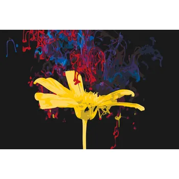 Malování podle čísel - Žlutá květina Velikost: 40x60cm, Rámování: Pouze srolované plátno