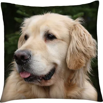 Polštář Polštář s motivem psa 14 Mybesthome 40x40 cm Varianta: Povlak na polštář s výplní, 40x40 cm