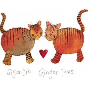 Přání v obálce Gigantic Ginger, ALEX CLARK (Přání s kočkou, kočka)