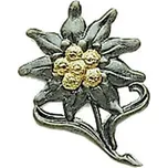 Odznak BW Edelweiß ALPSKÁ PROTĚŽ