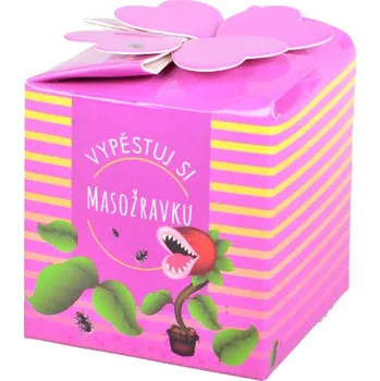 Semeno Vypěstuj si masožravku - květináček keramika