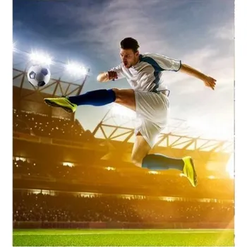 Fototapeta DIMEX | Vliesová fototapeta na zeď Fotbalový hráč MS-3-0306 | 225 x 250 cm | modrá, zelená, hnědá, žlutá + Vliesová fototapeta na stěnu DIMEX Fotbalový hráč MS30306 v rozměru 225 x 250 cm + lepidlo zdarma
