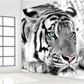 Fototapeta Solution Media 3D tapeta - Tiger II. MU97 6 - Samolepící tapeta - 380-450g/m2