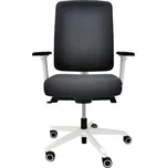 Kancelářská židle Flexi FX 1114