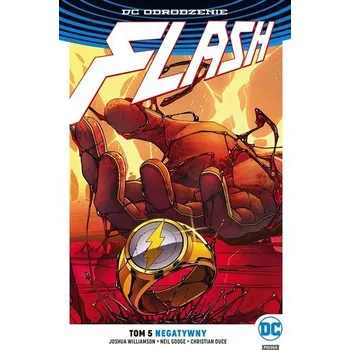 Komiks pro dospělé Flash T.5 Negatywny - Praca zbiorowa