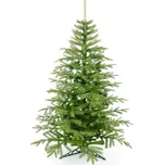Erbis Lux 2D/3D jehličí smrk natur