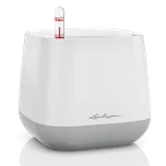 Lechuza Yula Trend 16,5 cm