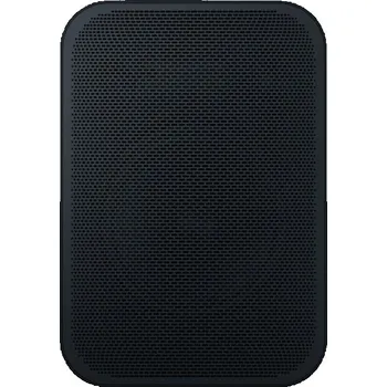 Audio Bluesound Professional BSP200 - černá