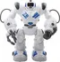 RC model robota TPC Robohoter RTR