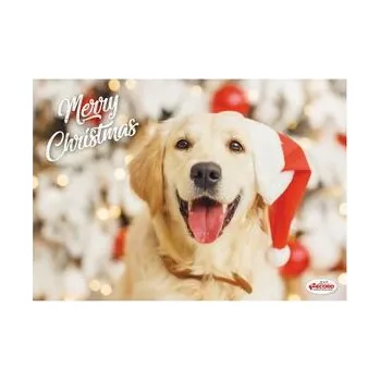 Miska pro psa Record vánoční plastová podložka pod misky 42 x 30 cm pro psy labrador