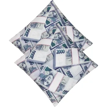Polštář Numberoplus Dekorační polštář bankovka 45x45cm - 2000 Kč
