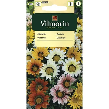 Semeno Gazánie pevná (směs)