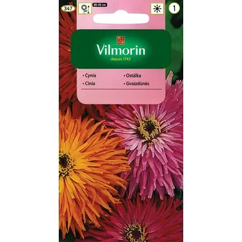 Ostálka sličná Glamour Girls (směs)