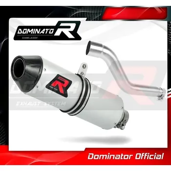 Výfuk pro motocykl Laděný výfuk DOMINATOR YAMAHA TTR 250 99-06 OVÁLNÁ KONCOVKA MX2