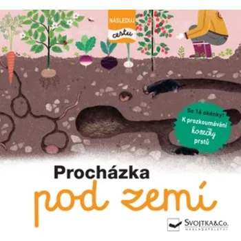 Kniha Procházka pod zemí - 978-80-256-3011-2