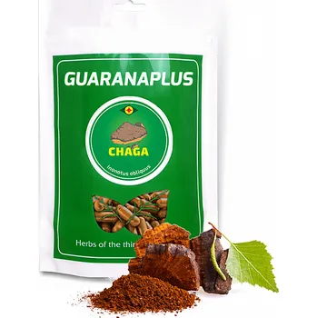 Přírodní produkt GUARANAPLUS Chaga XL 400 kapslí