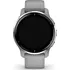 Chytré hodinky Garmin Venu 2 Plus, Silver/Gray Band