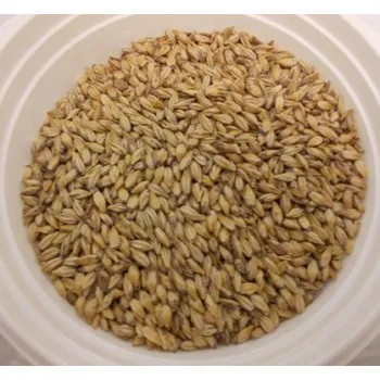 výroba alkoholu Slad Karamel pils