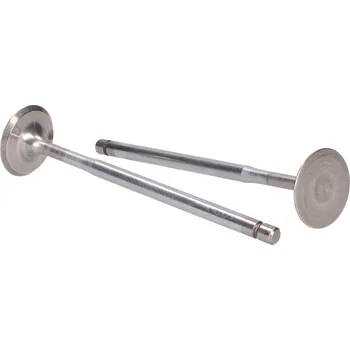 Válec motoru Výfukové ventily Malossi pro 4V H2O hlavu, Piaggio 125-300cc 4T LC M.2714389