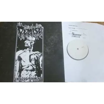 Zahraniční hudba LP Demise: Endless Torment 2017 Limited Edition Vinyl