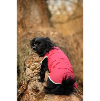 Obleček pro psa Vsepropejska Celine zimní bunda pro psa Barva: Vínová, Délka zad (cm): 23, Obvod hrudníku: 26 - 28 cm