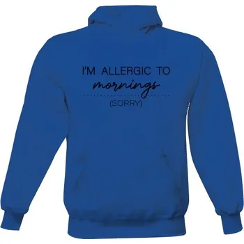 Pánská mikina Pánská mikina s kapucí s potiskem Allergic to mornings pánské