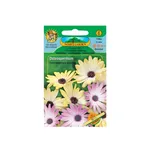 Nohel Garden Osteospermum mix 0,05 g