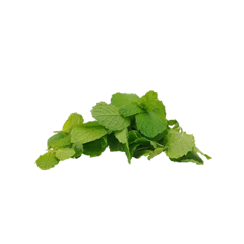 Peppermint oil - Peppermintová silice množství: 10 ml