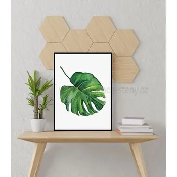 Samolepící dekorace Plakáty - List květina Monstera