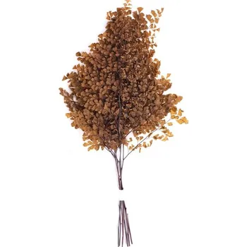 umělá květina Stabilizovaná rostlina Lutti Fern Orange 20-30 cm