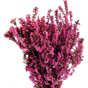 umělá květina Stabilizovaná rostlina Erica Mediterranea Fuchsia 30-60 cm