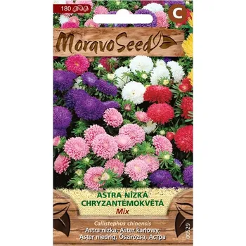 Semeno MoravoSeed Astra nízká chryzantémokvětá mix 180 ks