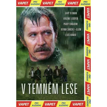 DVD film V temném lese (DVD) (papírový obal)