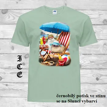 Pánské tričko panske-bavlnene-tricko-uv-potisk-kocky-plaz Barva: Ice - ledově zelená, velikost: XL