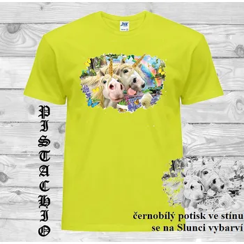Pánské tričko panske-bavlnene_tricko_uv_potisk_jednorozec Barva: Pistachio - pistáciová, velikost: XL