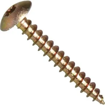 Vrut Vrut se širokou půlkulatou hlavou, torx 30, ocel c1022, zinek žlutý, 7.0x40 mm