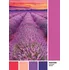 Puzzle Clementoni Pantone Levandule při západu slunce 1000 dílků